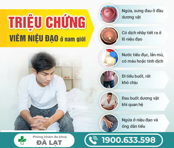 Hình ảnh minh họa